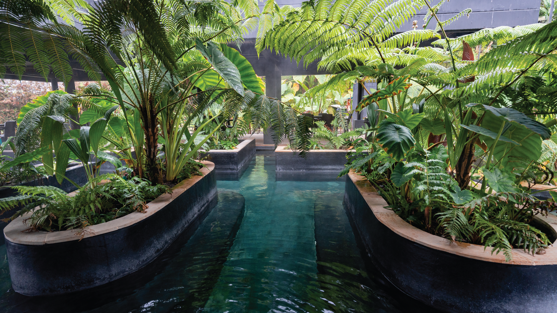 Piscina termal rodeada de vegetación tropical en el Hotel Termales del Otoño, Manizales, Colombia.