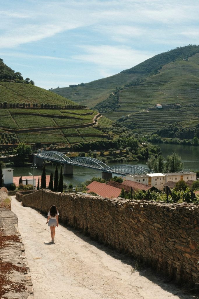 Viñedos del Valle del Duero en primavera con flores y paisajes verdes.