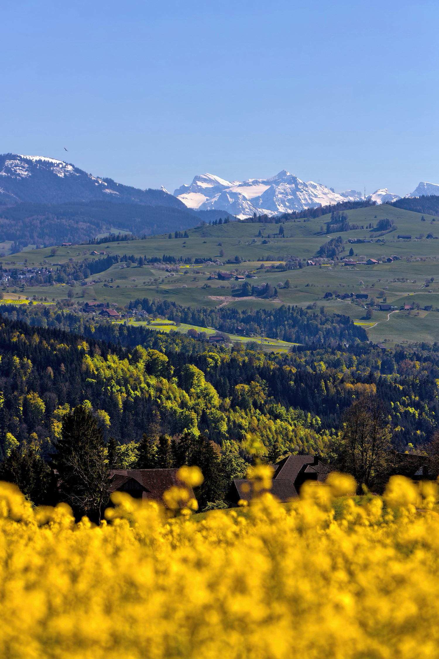 Zug, Suiza, rodeado de montañas y campos en primavera.