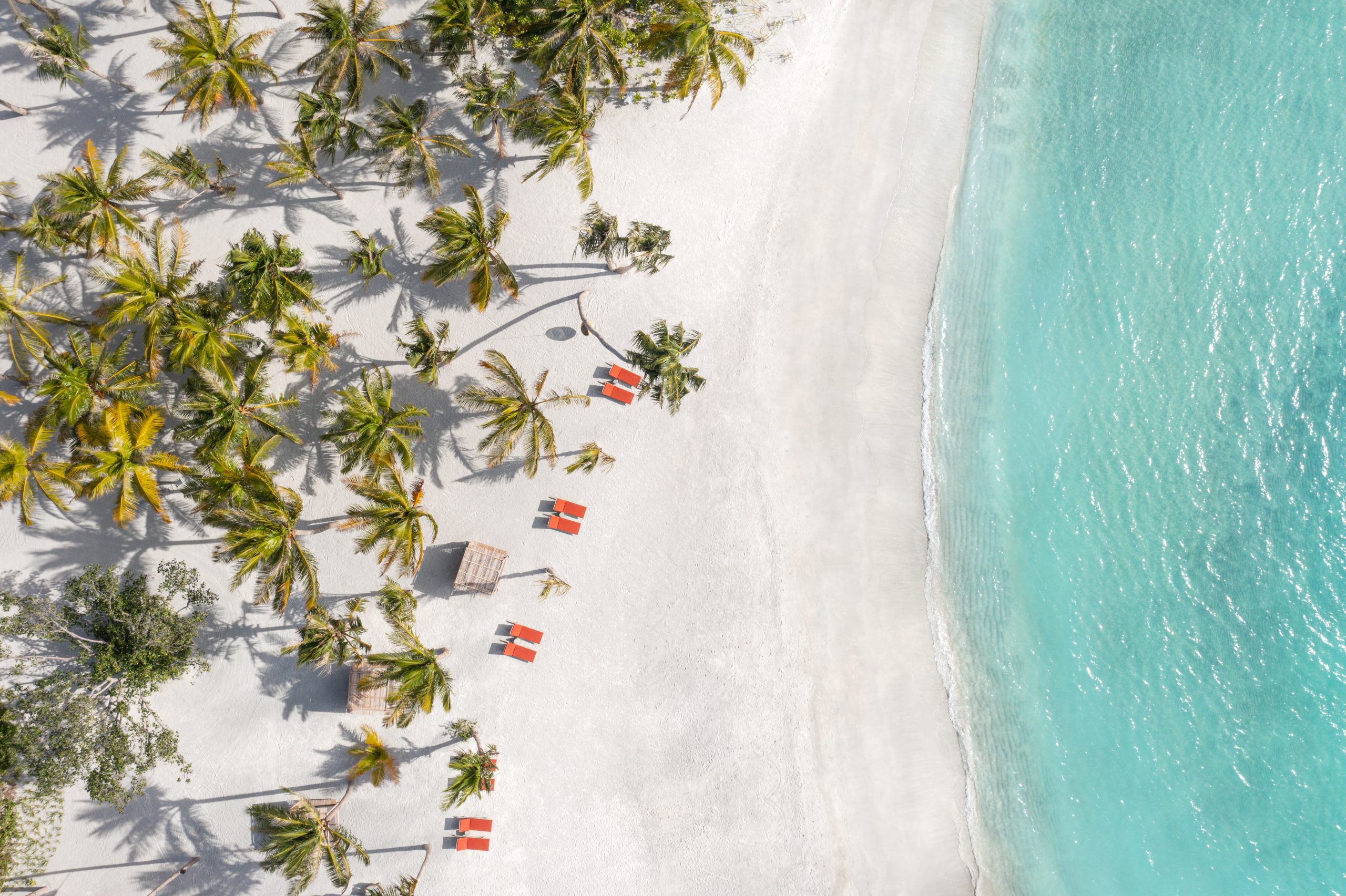 Playa de arena blanca y aguas cristalinas en las Maldivas, un destino ideal para viajar en familia.